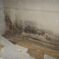 NY State-Certified Asbestos Inspectors