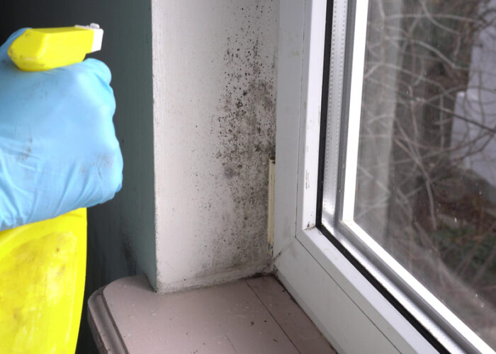 Mold removal company. Worker of cleaning service removes the mold