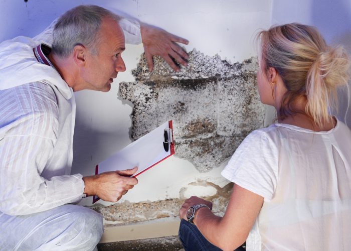 pest control contractor or exterminator with a blonde female customer at a mold destroyed wall and explain her the problem