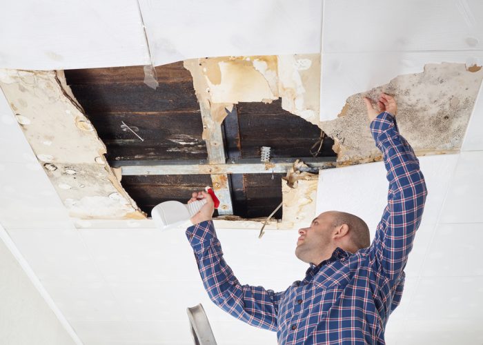 man cleaning mold on ceiling