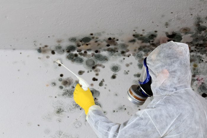 our technician removing mold